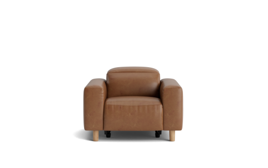 Jackalope electric recliner with electric headrest